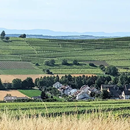 In Vakantiehuis Pfaffenweiler